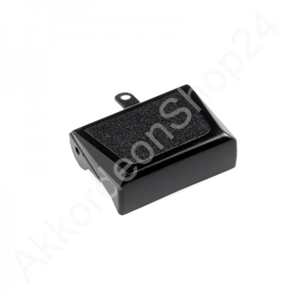 Bass-register-switch
